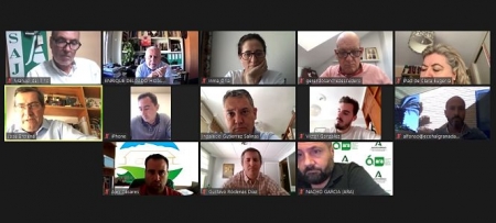 Imagen de la reunión TELEMÁTICA (PSOE) Imagen de la reunión TELEMÁTICA (PSOE)