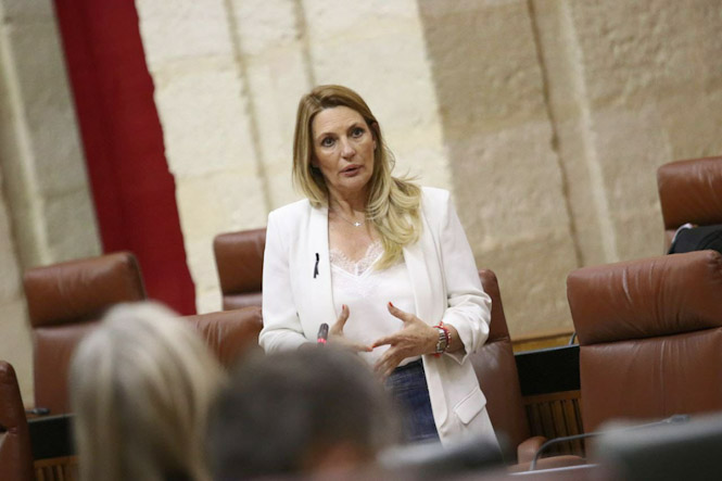 Concha Insúa, parlamentaria Andaluza de Ciudadanos (CS) 