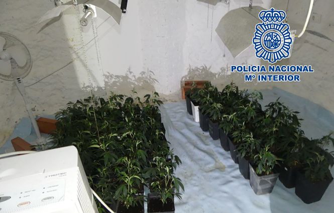 Plantación en la habitación-cueva (POLICIA NACIONAL)