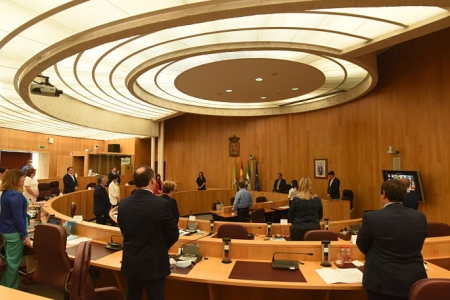Pleno de la Diputación de Granada (DIPUTACIÓN) Pleno de la Diputación de Granada (DIPUTACIÓN)
