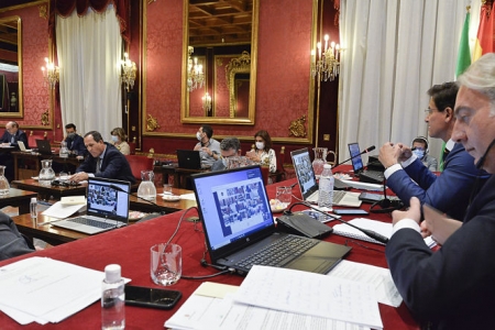 Pleno del Ayuntamiento de Granada (JAVIER ALGARRA / AYUNTAMIENTO) Pleno del Ayuntamiento de Granada (JAVIER ALGARRA / AYUNTAMIENTO)