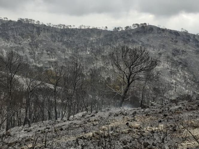 Extinguido el incendio forestal de Vélez de Benaudalla (INFOCA  / ARCHIVO) 