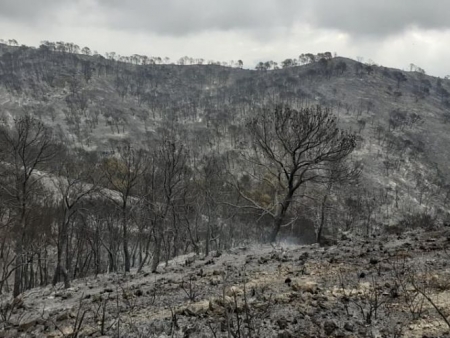 Extinguido el incendio forestal de Vélez de Benaudalla (INFOCA  / ARCHIVO) 