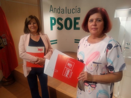 María José Sánchez Rubio y Elvira Ramón en rueda de prensa (PSOE) María José Sánchez Rubio y Elvira Ramón en rueda de prensa (PSOE)