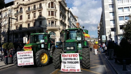 Movilización del 19 de febrero en Granada (ASAJA GRANADA) 