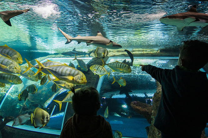 Biodomo del Parque de las Ciencias (PARQUE DE LAS CIENCIAS)