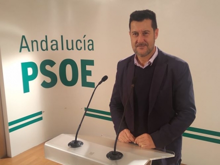 Alejandro Zubeldia, Senador del PSOE (PSOE)