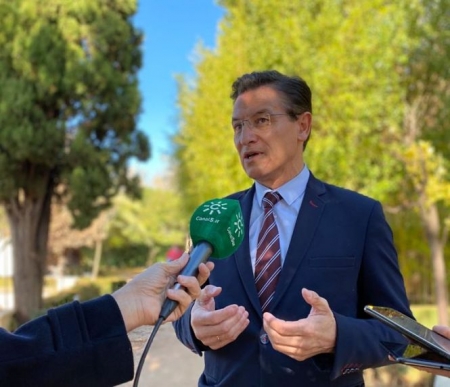El Alcalde de Granada, Luis Salvador (CIUDADANOS) 