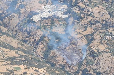 Lugar donde se produjo el incendio (INFOCA) 