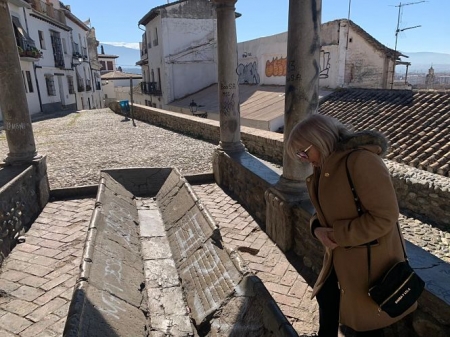 María de Leyva durante una visita al Mirador de El Realejo (PSOE) María de Leyva durante una visita al Mirador de El Realejo (PSOE)