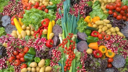 Las exportaciones agroalimentarias suman 5.666 millones hasta mayo y supone el 25% del total de España (EXTENDA) 
