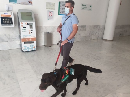 Un paciente con diabetes con su perro de asistencia sanitaria que le ayuda a detectar las bajadas de azúcar (HUSC) Un paciente con diabetes con su perro de asistencia sanitaria que le ayuda a detectar las bajadas de azúcar (HUSC)