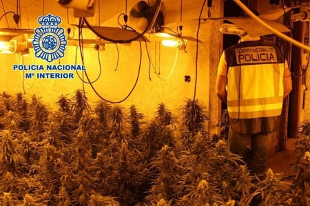 Operación antidroga en Cijuela (POLICÍA NACIONAL) Operación antidroga en Cijuela (POLICÍA NACIONAL)