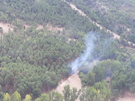 Incendio forestal en Nívar (INFOCA) Incendio forestal en Nívar (INFOCA)