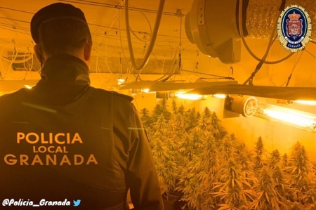 Zulo con marihuana en los bajos de un bloque de Granada, en una imagen de archivo (POLICÍA LOCAL DE GRANADA) Zulo con marihuana en los bajos de un bloque de Granada, en una imagen de archivo (POLICÍA LOCAL DE GRANADA)
