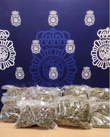 Imagen de la Marihuana intervenida (POLICÍA NACIONAL) Imagen de la Marihuana intervenida (POLICÍA NACIONAL)