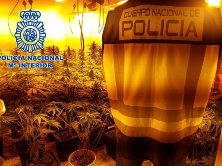 Operación policial contra la marihuana en la zona norte de Granada (POLICÍA NACIONAL) Operación policial contra la marihuana en la zona norte de Granada (POLICÍA NACIONAL)