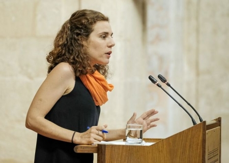 La parlamentaria andaluza de Adelante, Ana Villaverde (ADELANTE) La parlamentaria andaluza de Adelante, Ana Villaverde (ADELANTE)