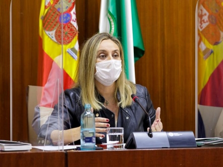 Marifrán Carazo durante la comisión de Fomento (JUNTA) Marifrán Carazo durante la comisión de Fomento (JUNTA)