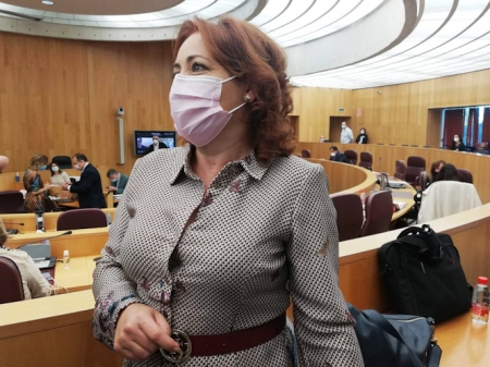Mari Carmen Pérez, Diputada provincial de IU (IU) Mari Carmen Pérez, Diputada provincial de IU (IU)