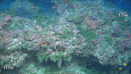 Imagen del arrecife de Coral (UGR)
