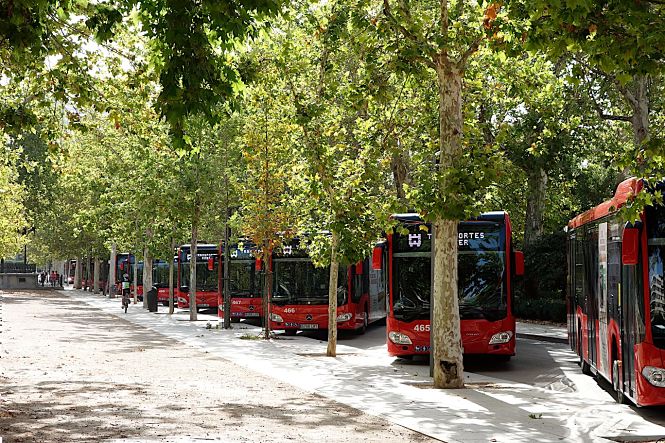 Flota de autobuses de la capital (AYTO. GRANADA)