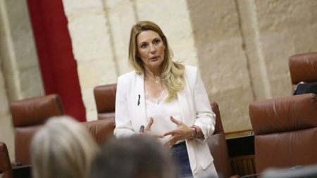 La parlamentaria andaluza de Ciudadanos, Concha Insúa (CIDUADANOS) La parlamentaria andaluza de Ciudadanos, Concha Insúa (CIDUADANOS)