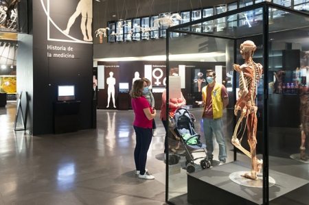 Expocisión viaje al cuerpo humano (PARQUE DE LAS CIENCIAS) Expocisión viaje al cuerpo humano (PARQUE DE LAS CIENCIAS)