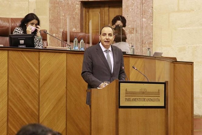 El parlamentario andaluz de Vox, Francisco Ocaña (VOX) 