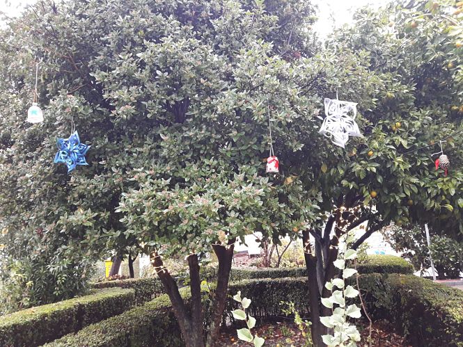 Imagen de los adornos navideños (AYTO. MONACHIL) 