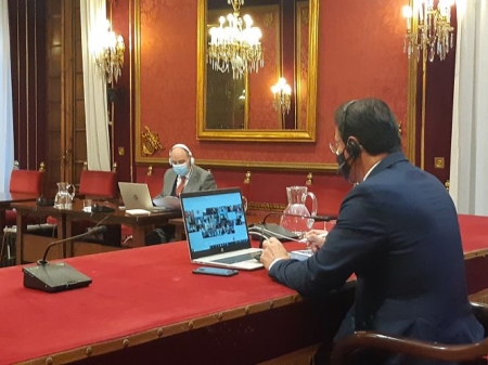 Imagen del Pleno telemático del Ayuntamiento de Granada (AYTO. GRANADA) Imagen del Pleno telemático del Ayuntamiento de Granada (AYTO. GRANADA)