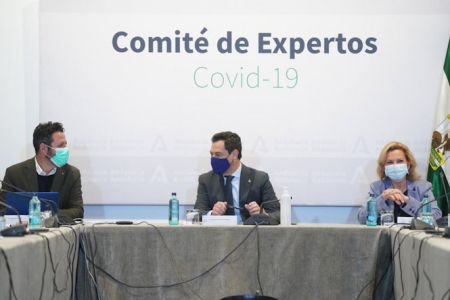 Imagen de la reunión del comité de expertos (JUNTA DE ANDALUCÍA) Imagen de la reunión del comité de expertos (JUNTA DE ANDALUCÍA)