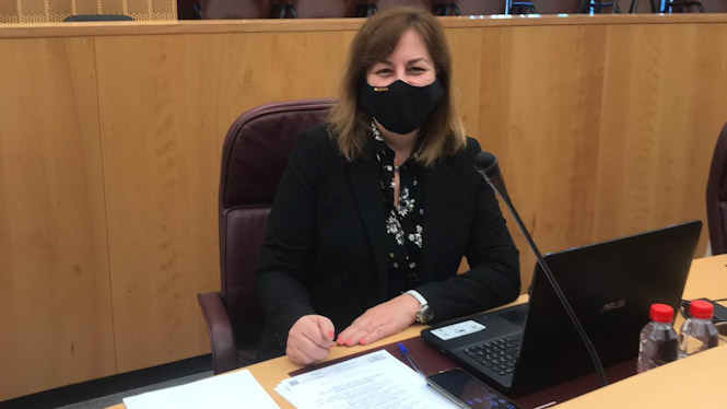 Cristina Jiménez, Diputada Provincial de Vox (VOX)