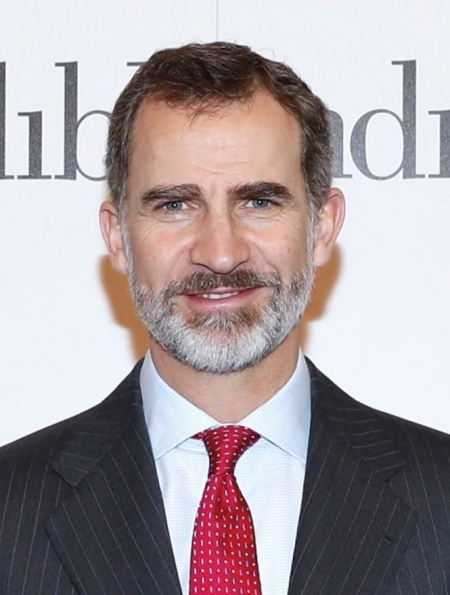 Su majestad, el Rey de España, Felipe VI (WIKIPEDIA) Su majestad, el Rey de España, Felipe VI (WIKIPEDIA)