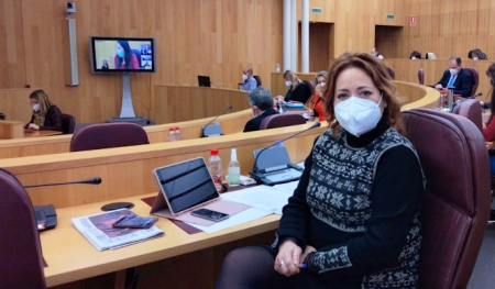 La Diputada Provincial de IU, Mari Carmen Pérez (IU) La Diputada Provincial de IU, Mari Carmen Pérez (IU)