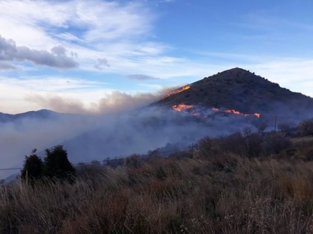 Incendio forestal en Juviles (INFOCA) 