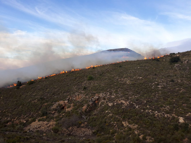 Imagen del incendio de Juviles (INFOCA) 