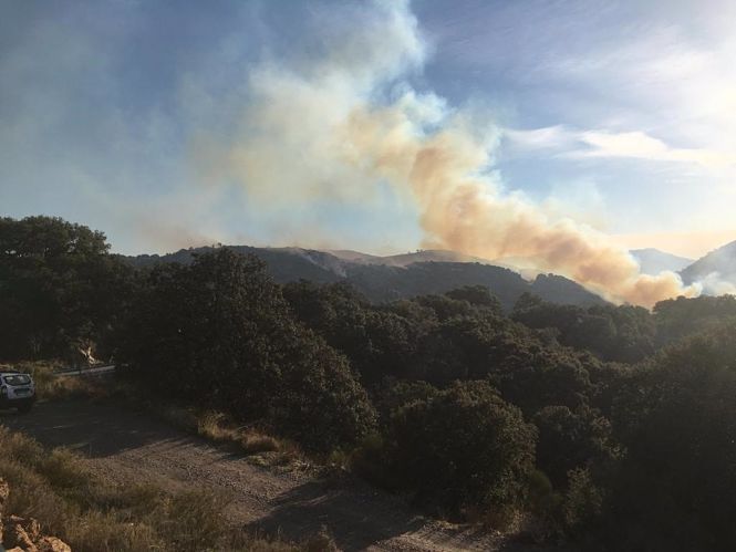 Incendio forestal en Juviles (INFOCA)