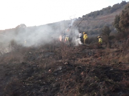 Bomberos trabajando en el incendio (INFOCA) Bomberos trabajando en el incendio (INFOCA)