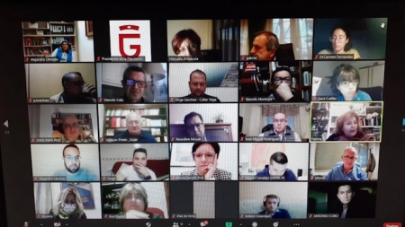 Imagen de la reunión telemática (DIPUTACIÓN)