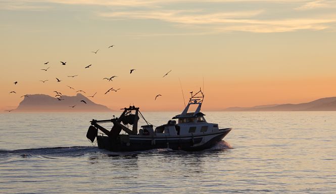 Imagen de un barco pesquero (JUNTA) 