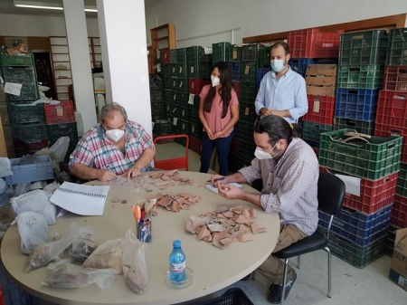 Clasificación y catalogación de los restos arqueológicos (AYTO. ALMUÑÉCAR) Clasificación y catalogación de los restos arqueológicos (AYTO. ALMUÑÉCAR)