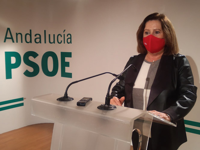 La parlamentaria andaluza del PSOE, María José Sánchez Rubio (PSOE)