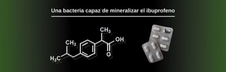 EEZ-CSIC EEZ-CSIC