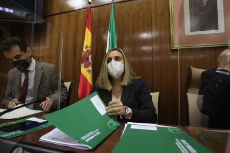 Marifran Carazo durante la Comisión de Fomento (JUNTA) Marifran Carazo durante la Comisión de Fomento (JUNTA)