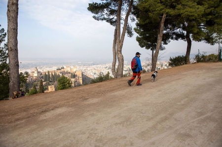 La Alhambra repara el camino forestal que da acceso a la Silla del Moro (LUCÍA RIVAS/PATRONATO DE LA ALHAMBRA) La Alhambra repara el camino forestal que da acceso a la Silla del Moro (LUCÍA RIVAS/PATRONATO DE LA ALHAMBRA)