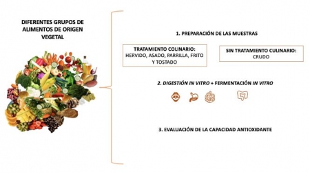 JUNTA DE ANDALUCIA JUNTA DE ANDALUCIA