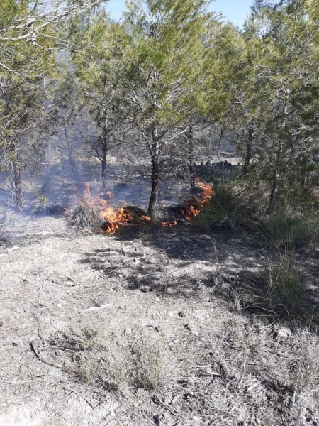 Lugar donde se ha producido el incendio (INFOCA) Lugar donde se ha producido el incendio (INFOCA)