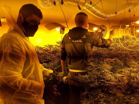 Agentes de la Guardia Civil en una de las plantaciones (GUARDIA CIVIL)