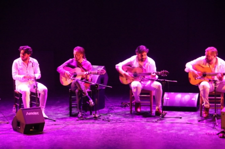 Imagen del espectáculo flamenco (AYTO. ALMUÑÉCAR)
